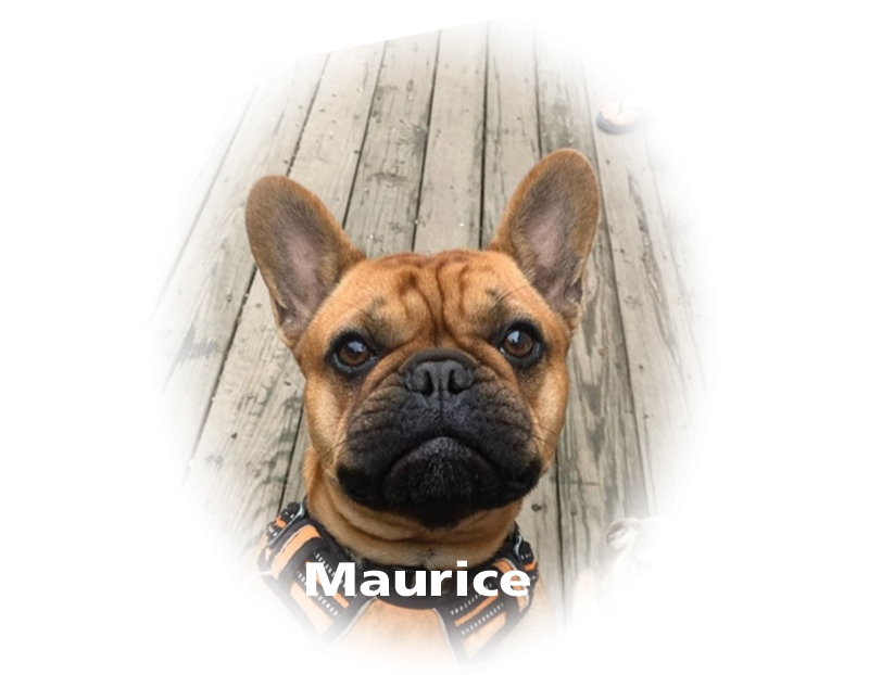 Maurice